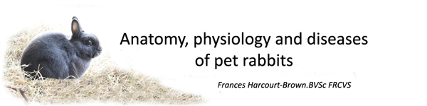 Anatomy, Physiology & Diseases of Pet Rabbits